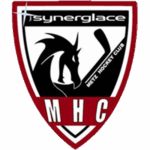 Metz U13
